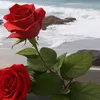 sarath0094