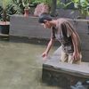 mahmud_r_a_f_s_a_n