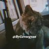 bygevorgyan