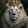 user8vaqi35e4m