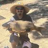 alecthecarpcatcher