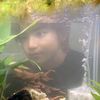 syaaaomi
