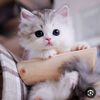mariamhamada489
