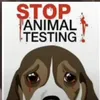 contra_maltrataranimais