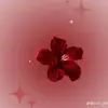 jana05420