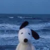 peacensht