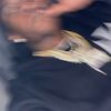 stacknostarve