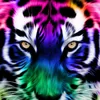 jennyjean595