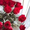 daffodil_h