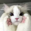 userp8subff6hu