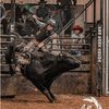 zwhbullrider