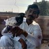 malikfaizullah786
