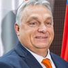 orban_is_strong