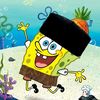 fadhli.alawy
