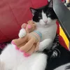 mich_jm18