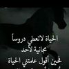 rabihhmouda