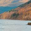 lochness35xxx