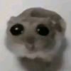 thjwipapejkl