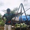 Kulit_ireng