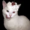mimimistressful