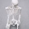 pietrogabriel692