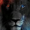 animalspeciesandbreeds