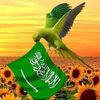ramzanmalik6603