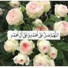 dy1bdatcv010