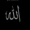 www.tiktok.comhale