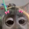 klqfernandez