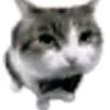 lily_xse