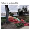 nature_lover5019