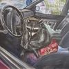 ilikeraccoons05