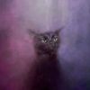 mothman0066