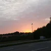 sakkee59