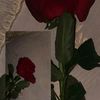 user1290276295347