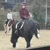 emily_eq2