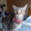 cleothecat0121