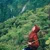 amnach_shore