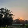 chowdhuryayash