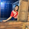 fern_baiferns