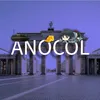 an0k0l