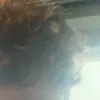 paul_el_gr