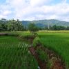 malaikattakbersayap030