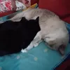 sabrina.miatto.71