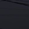 rayenheni_