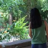 _ysnzxx