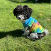 hippiechicktiedye