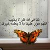 abdelghfourgh10
