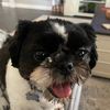 bigbertha_124